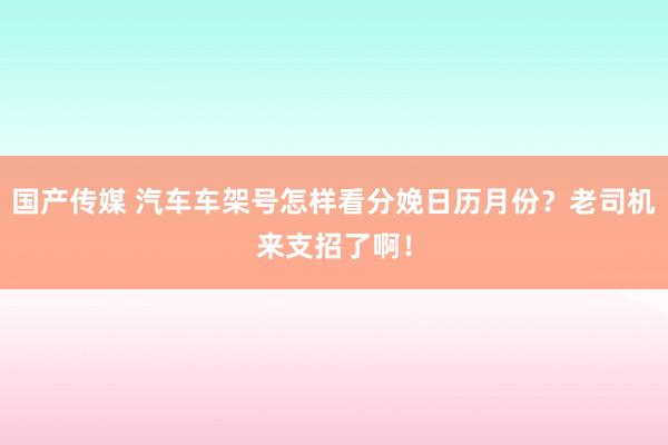 国产传媒 汽车车架号怎样看分娩日历月份？老司机来支招了啊！