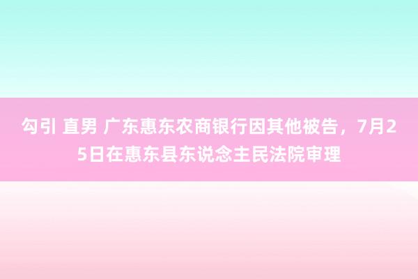 勾引 直男 广东惠东农商银行因其他被告，7月25日在惠东县东说念主民法院审理