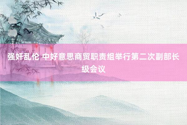 强奸乱伦 中好意思商贸职责组举行第二次副部长级会议