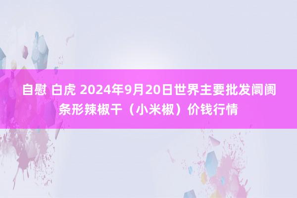 自慰 白虎 2024年9月20日世界主要批发阛阓条形辣椒干(小米椒)价钱行情