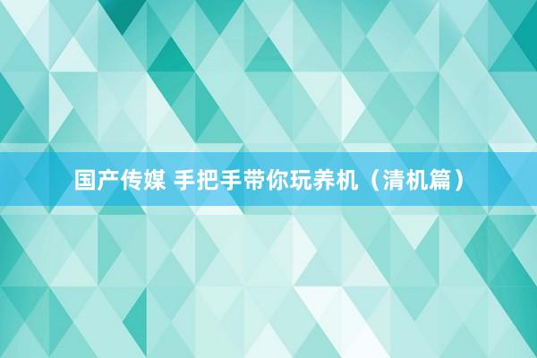国产传媒 手把手带你玩养机(清机篇)