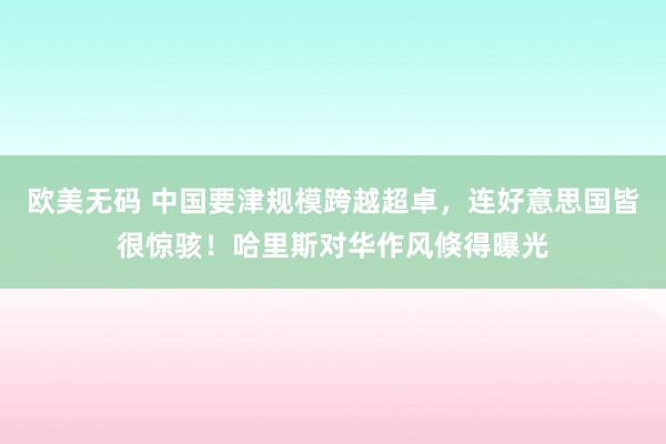 欧美无码 中国要津规模跨越超卓，连好意思国皆很惊骇！哈里斯对华作风倏得曝光