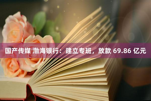 国产传媒 渤海银行:建立专班,放款 69.86 亿元