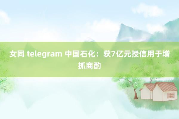 女同 telegram 中国石化:获7亿元授信用于增抓商酌