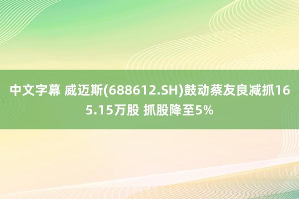 中文字幕 威迈斯(688612.SH)鼓动蔡友良减抓165.15万股 抓股降至5%