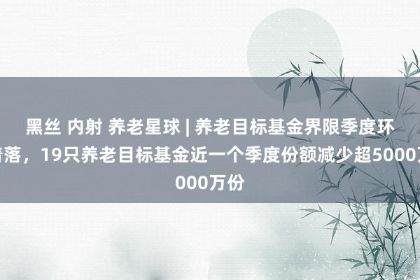 黑丝 内射 养老星球 | 养老目标基金界限季度环比着落，19只养老目标基金近一个季度份额减少超5000万份