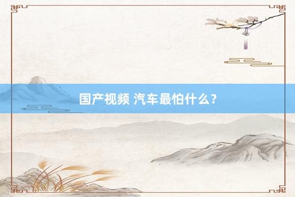 国产视频 汽车最怕什么?