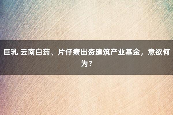 巨乳 云南白药、片仔癀出资建筑产业基金，意欲何为？