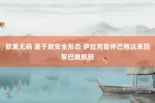 欧美无码 鉴于叙安全形态 伊拉克暂停巴格达来回黎巴嫩航班