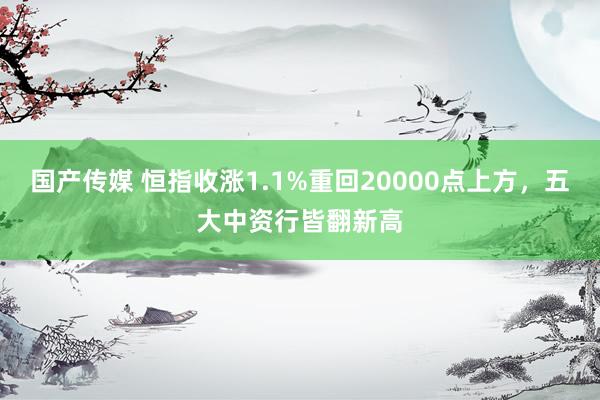 国产传媒 恒指收涨1.1%重回20000点上方，五大中资行皆翻新高