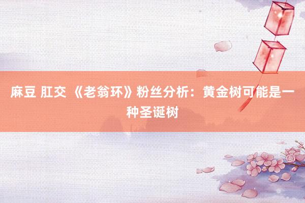 麻豆 肛交 《老翁环》粉丝分析：黄金树可能是一种圣诞树