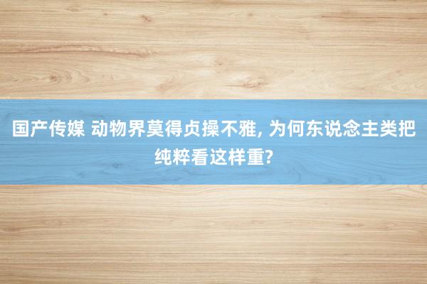国产传媒 动物界莫得贞操不雅， 为何东说念主类把纯粹看这样重?