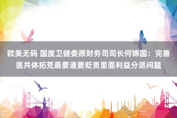 欧美无码 国度卫健委原财务司司长何锦国：完善医共体拓荒最要道要贬责里面利益分派问题