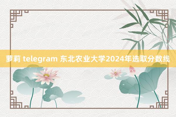 萝莉 telegram 东北农业大学2024年选取分数线