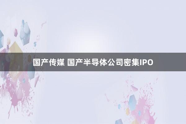国产传媒 国产半导体公司密集IPO