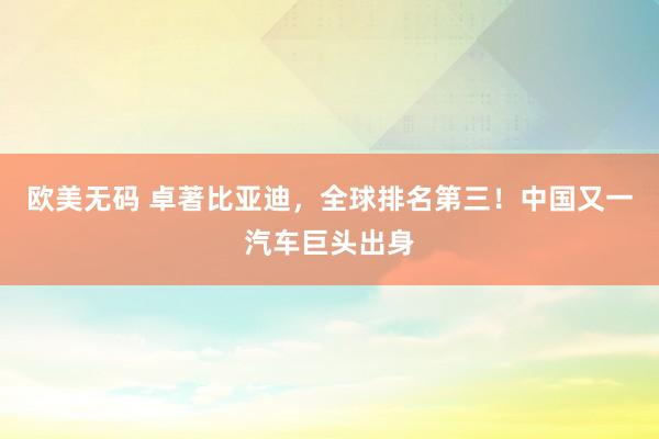 欧美无码 卓著比亚迪，全球排名第三！中国又一汽车巨头出身