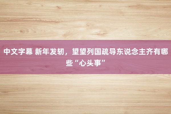 中文字幕 新年发轫，望望列国疏导东说念主齐有哪些“心头事”