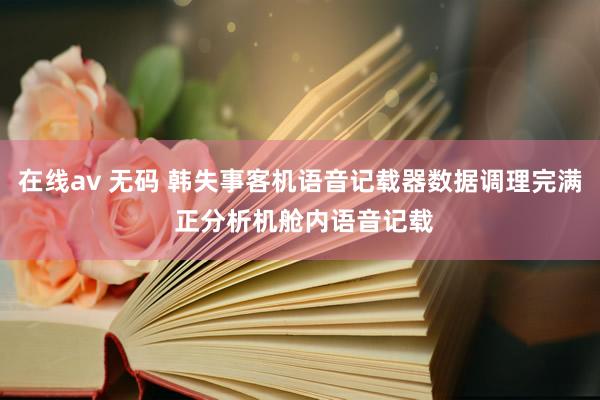 在线av 无码 韩失事客机语音记载器数据调理完满 正分析机舱内语音记载