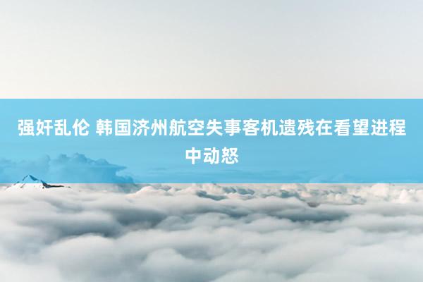 强奸乱伦 韩国济州航空失事客机遗残在看望进程中动怒