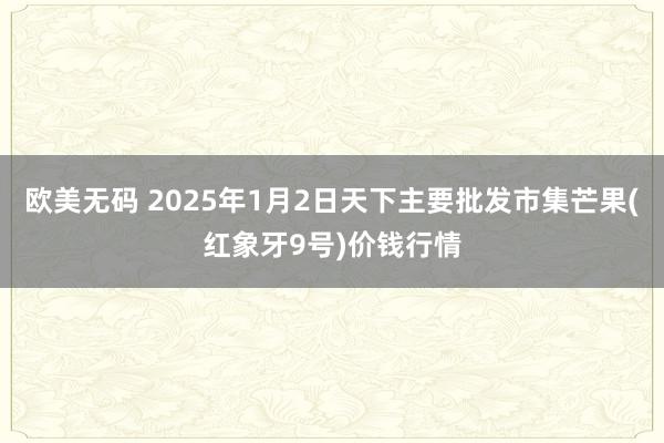 欧美无码 2025年1月2日天下主要批发市集芒果(红象牙9号)价钱行情