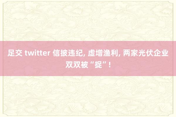足交 twitter 信披违纪， 虚增渔利， 两家光伏企业双双被“捉”!