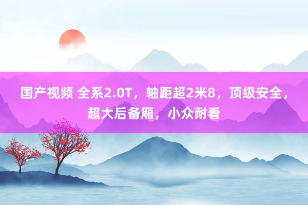 国产视频 全系2.0T，轴距超2米8，顶级安全，超大后备厢，小众耐看