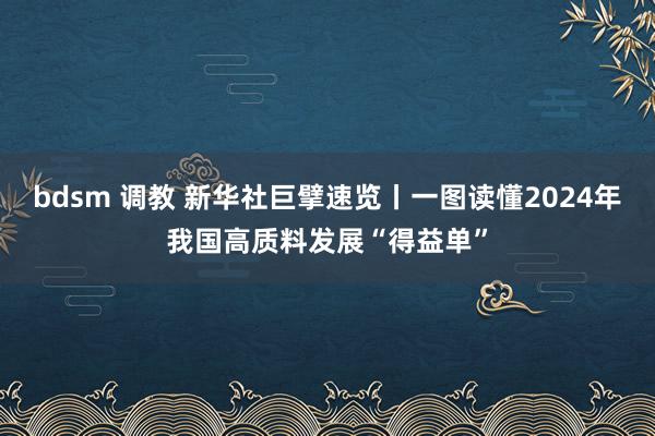 bdsm 调教 新华社巨擘速览丨一图读懂2024年我国高质料发展“得益单”