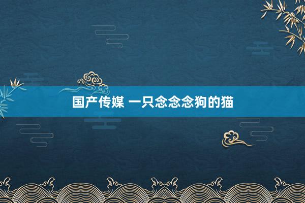 国产传媒 一只念念念狗的猫