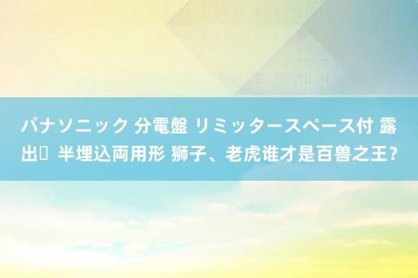 パナソニック 分電盤 リミッタースペース付 露出・半埋込両用形 狮子、老虎谁才是百兽之王？