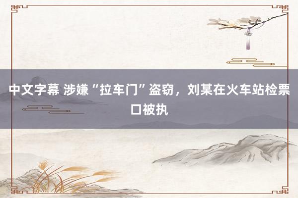 中文字幕 涉嫌“拉车门”盗窃，刘某在火车站检票口被执