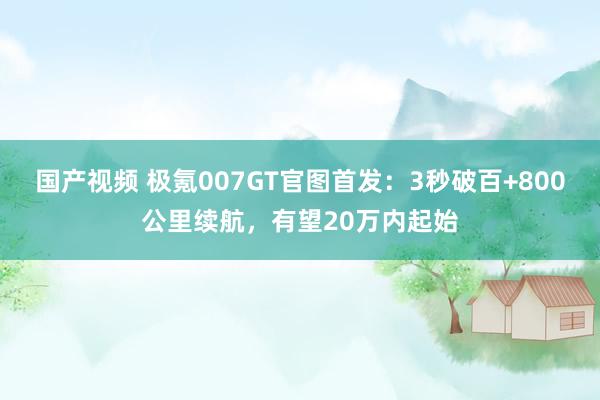 国产视频 极氪007GT官图首发：3秒破百+800公里续航，有望20万内起始