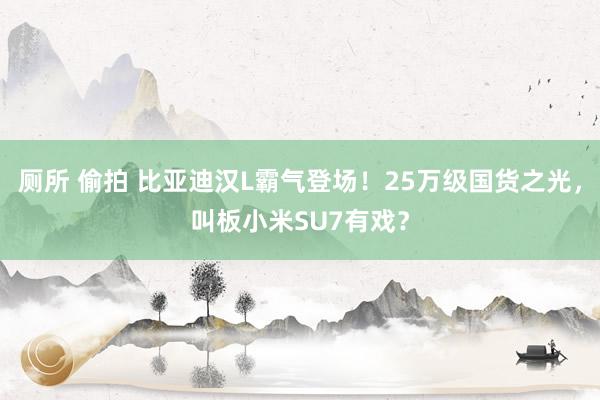 厕所 偷拍 比亚迪汉L霸气登场！25万级国货之光，叫板小米SU7有戏？
