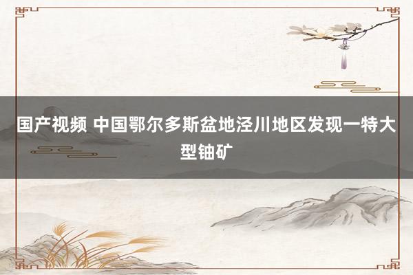 国产视频 中国鄂尔多斯盆地泾川地区发现一特大型铀矿