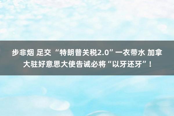 步非烟 足交 “特朗普关税2.0”一衣带水 加拿大驻好意思大使告诫必将“以牙还牙”！
