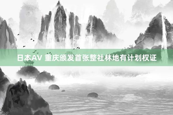 日本AV 重庆颁发首张整社林地有计划权证