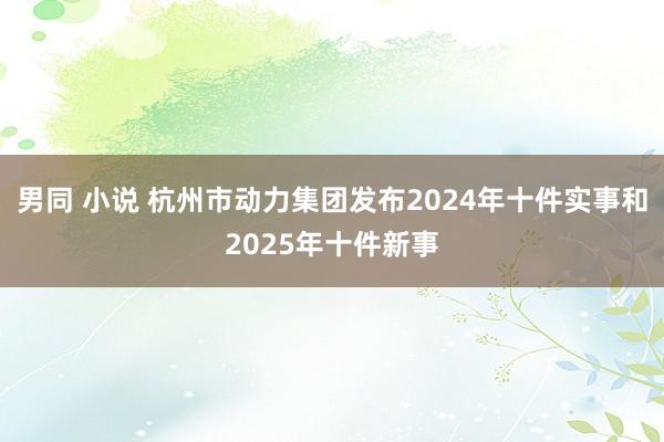 男同 小说 杭州市动力集团发布2024年十件实事和2025年十件新事