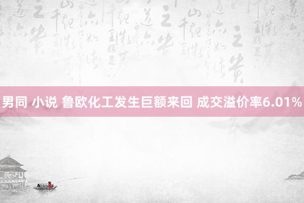男同 小说 鲁欧化工发生巨额来回 成交溢价率6.01%