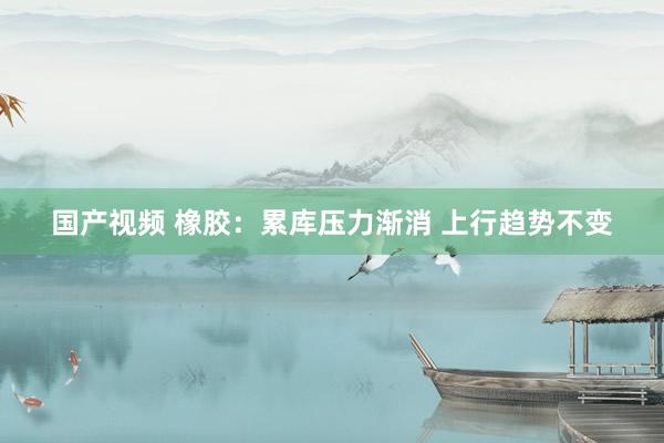 国产视频 橡胶：累库压力渐消 上行趋势不变