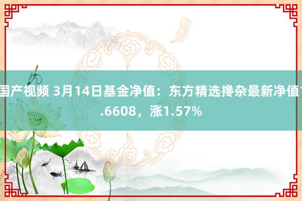 国产视频 3月14日基金净值：东方精选搀杂最新净值1.6608，涨1.57%