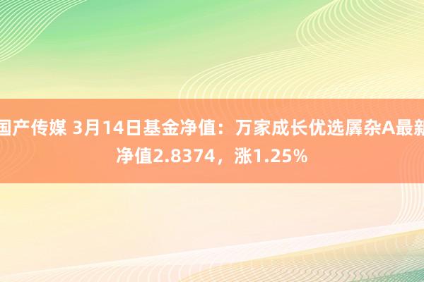 国产传媒 3月14日基金净值：万家成长优选羼杂A最新净值2.8374，涨1.25%