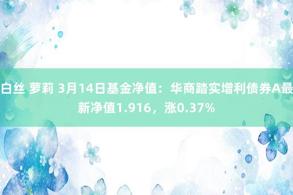 白丝 萝莉 3月14日基金净值：华商踏实增利债券A最新净值1.916，涨0.37%