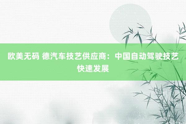 欧美无码 德汽车技艺供应商：中国自动驾驶技艺快速发展