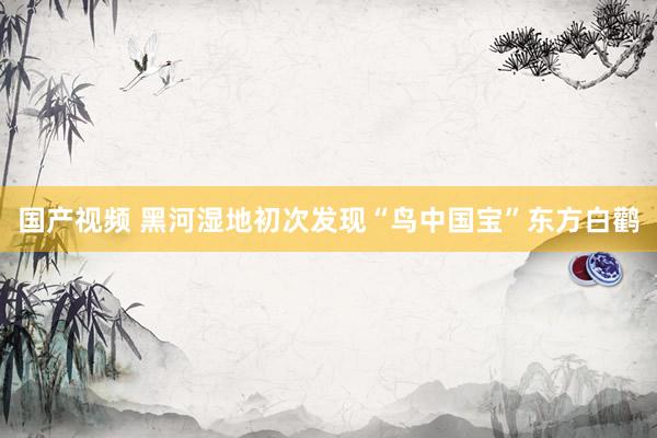 国产视频 黑河湿地初次发现“鸟中国宝”东方白鹳