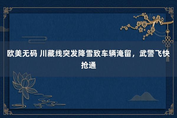 欧美无码 川藏线突发降雪致车辆淹留，武警飞快抢通
