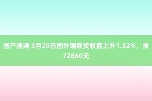 国产视频 3月20日国外铜期货收盘上升1.32%，报72860元