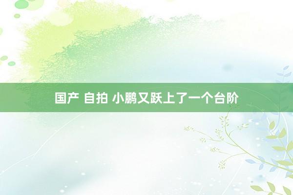 国产 自拍 小鹏又跃上了一个台阶