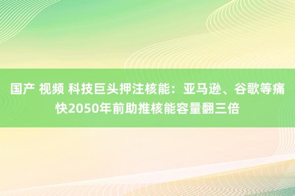 国产 视频 科技巨头押注核能：亚马逊、谷歌等痛快2050年前助推核能容量翻三倍