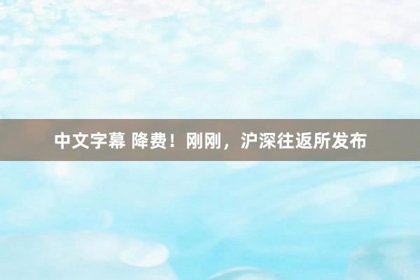 中文字幕 降费！刚刚，沪深往返所发布