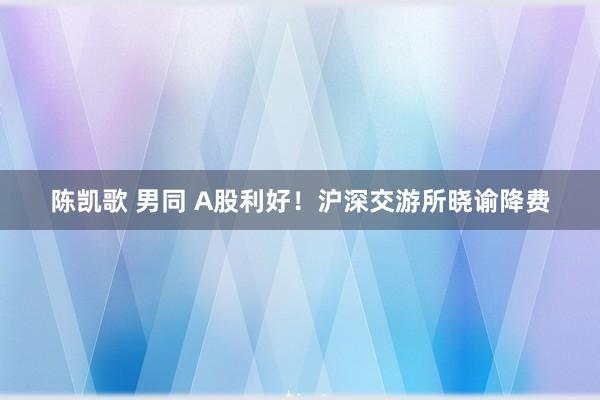 陈凯歌 男同 A股利好！沪深交游所晓谕降费