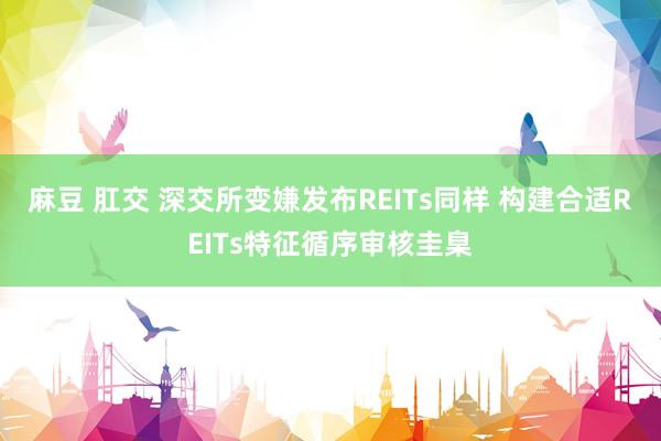麻豆 肛交 深交所变嫌发布REITs同样 构建合适REITs特征循序审核圭臬